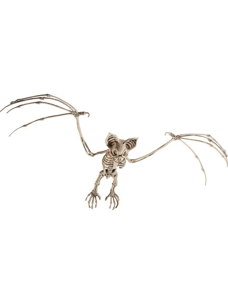 Bat skeleton