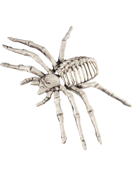 Spinne Skelett Deko
